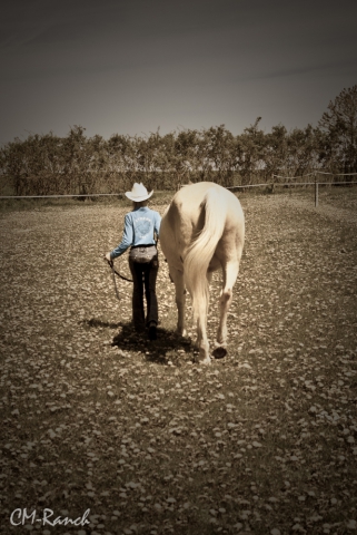 Tommy Muchacho; Quarter Horse; CM-Ranch