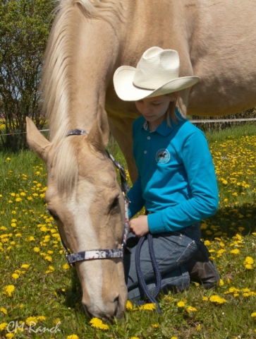 Tommy Muchacho; Quarter Horse; CM-Ranch