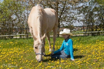 Tommy Muchacho; Quarter Horse; CM-Ranch