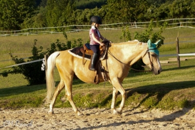 Tommy Muchacho; Quarter Horse; CM-Ranch