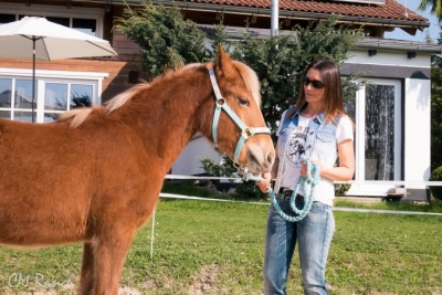 Halla vom Lehenhof; Freiberger; CM Ranch